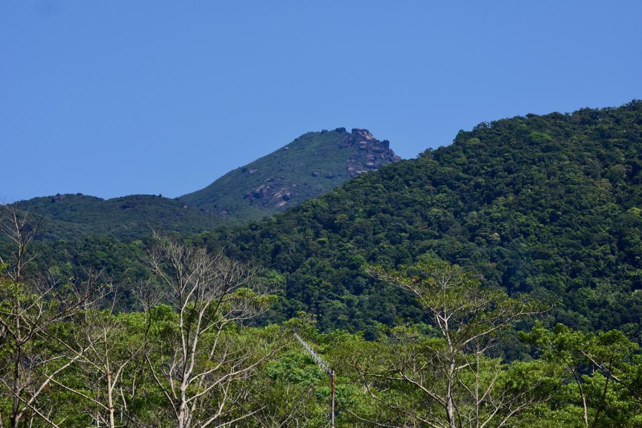 Daintree Peaks Eco Stays Eksteriør bilde