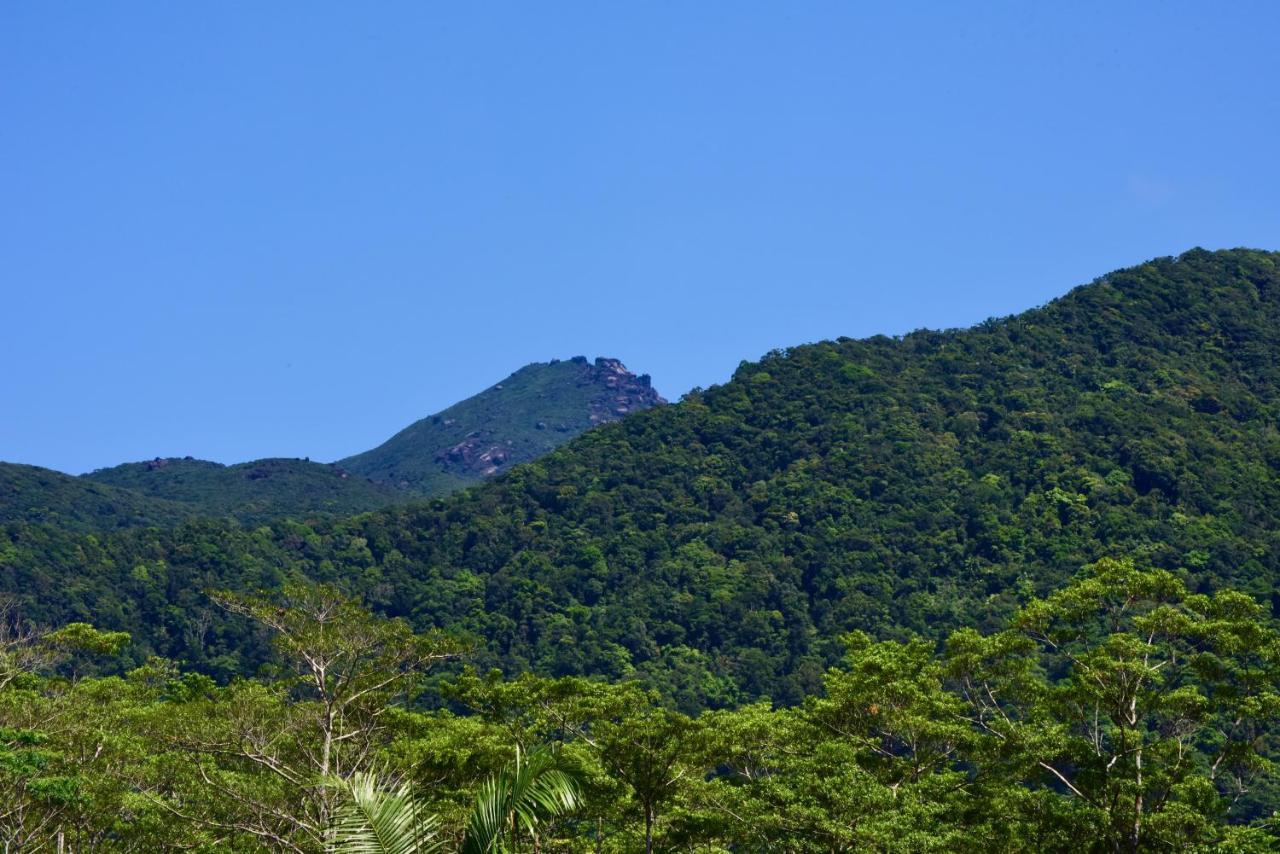 Daintree Peaks Eco Stays Eksteriør bilde