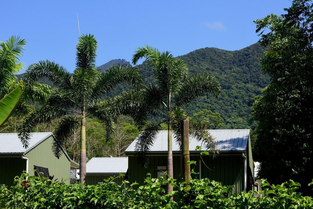 Daintree Peaks Eco Stays Eksteriør bilde