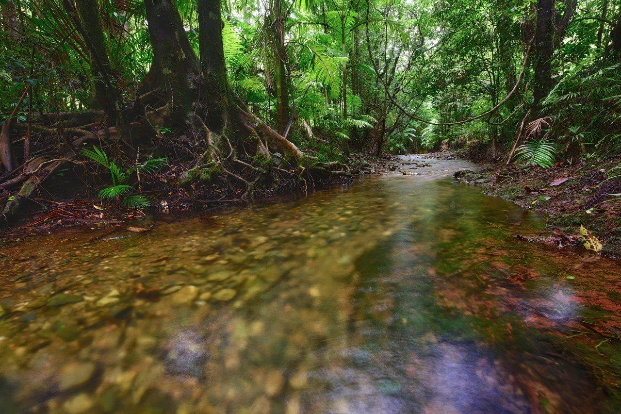 Daintree Peaks Eco Stays Eksteriør bilde