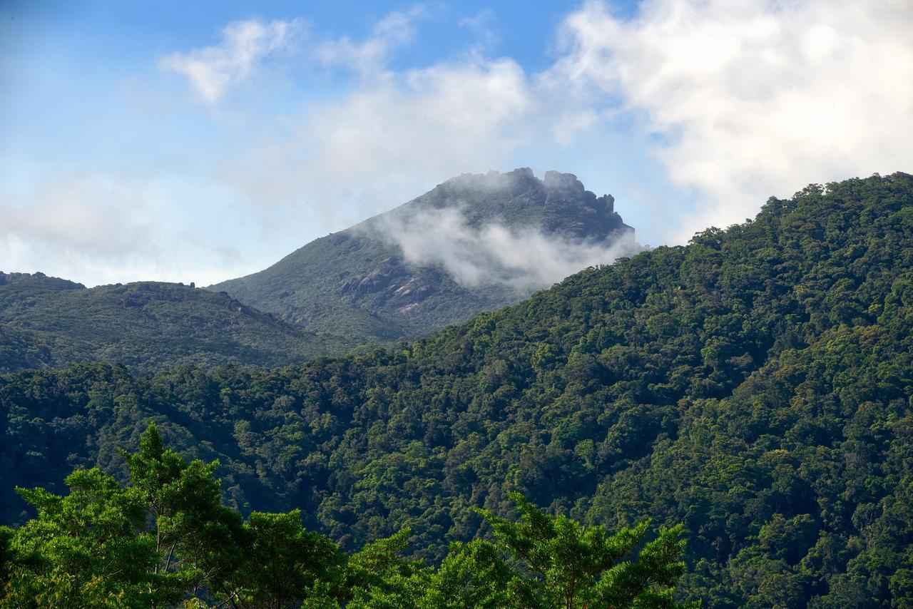 Daintree Peaks Eco Stays Eksteriør bilde