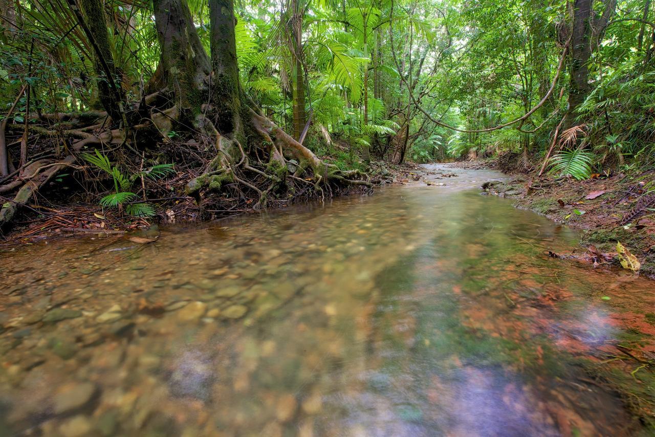 Daintree Peaks Eco Stays Eksteriør bilde